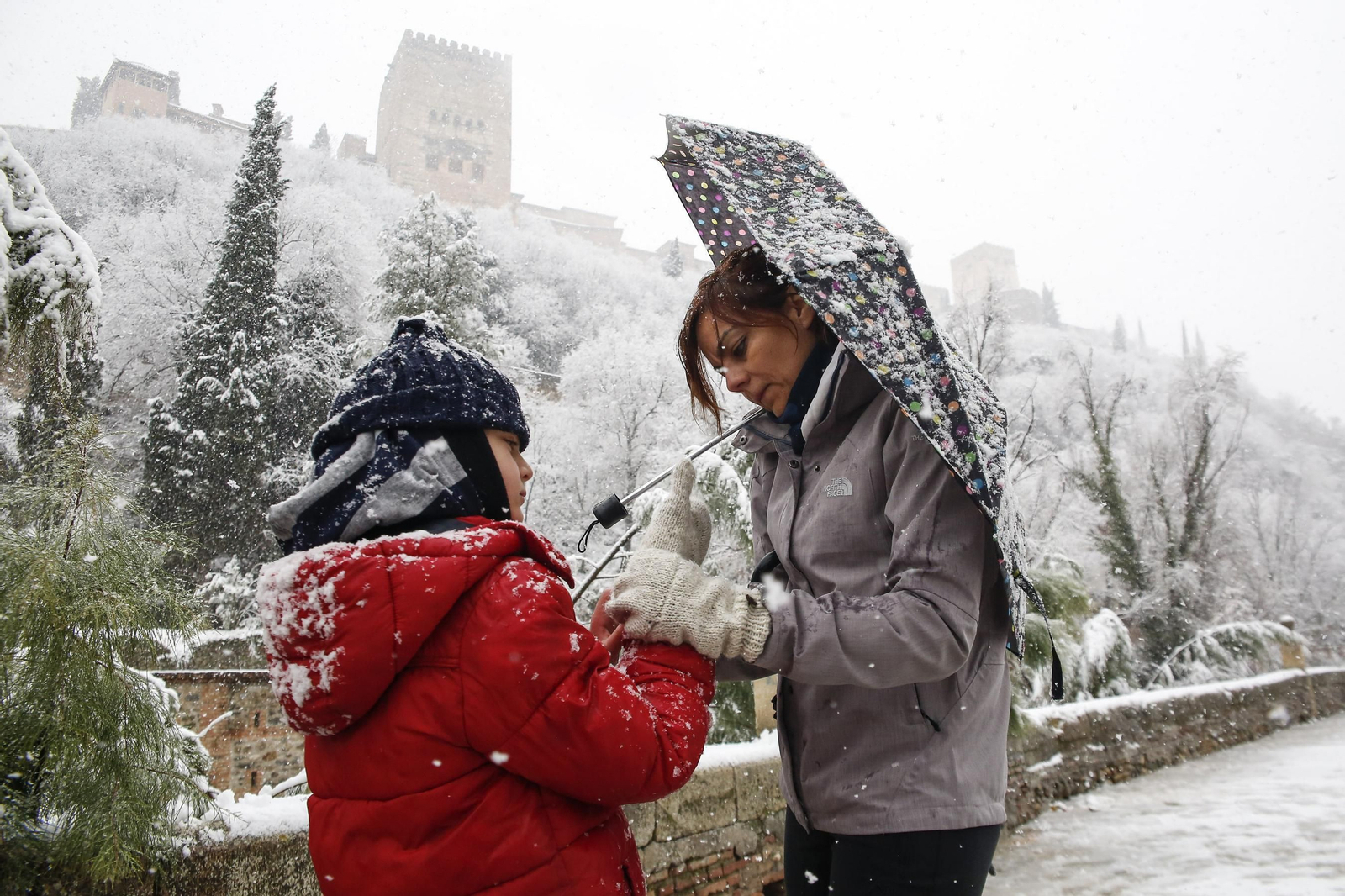La nevada de Granada, en imágenes