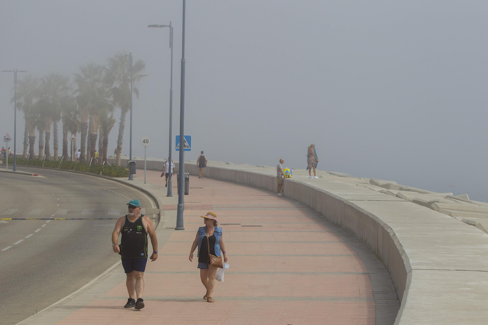 El taró provoca la prohibición del baño en las playas de Málaga, en imágenes
