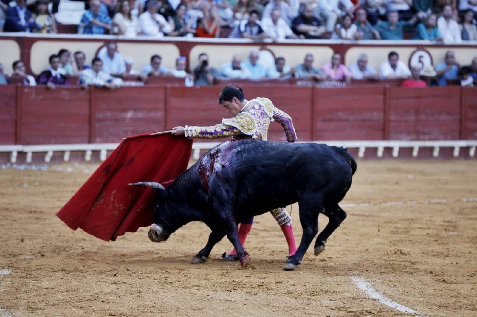 Imágenes de la despedida de Enrique Ponce en la plaza de toros de El Puerto