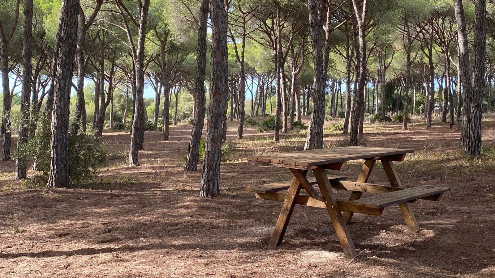 Pinar de Pozos de la Piedad-Pinar de Coig en El Puerto de Santa María.