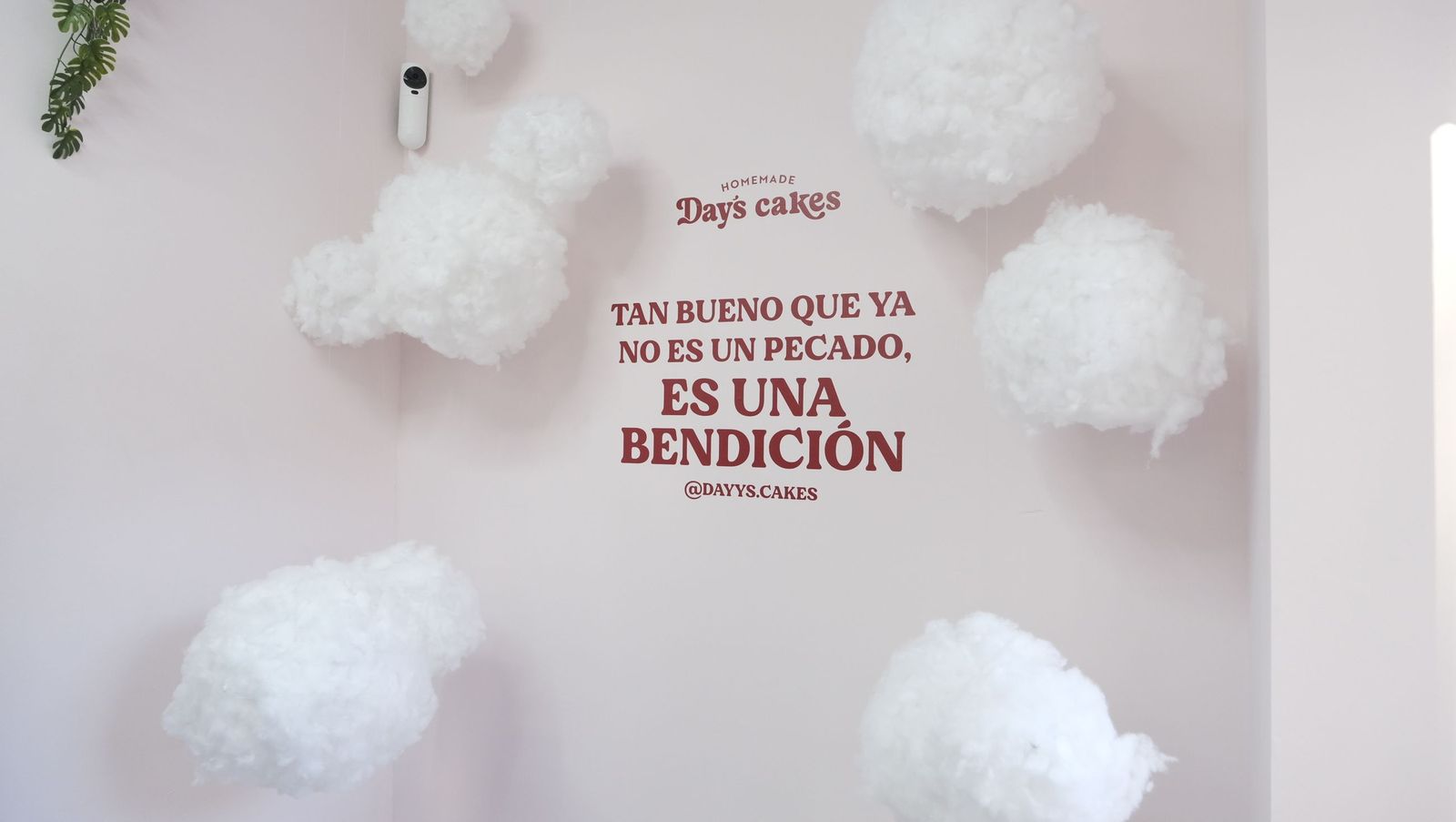 Colas interminables y tartas a un euro: la mejor 'cheesecake' de Almería conquista el centro de la ciudad