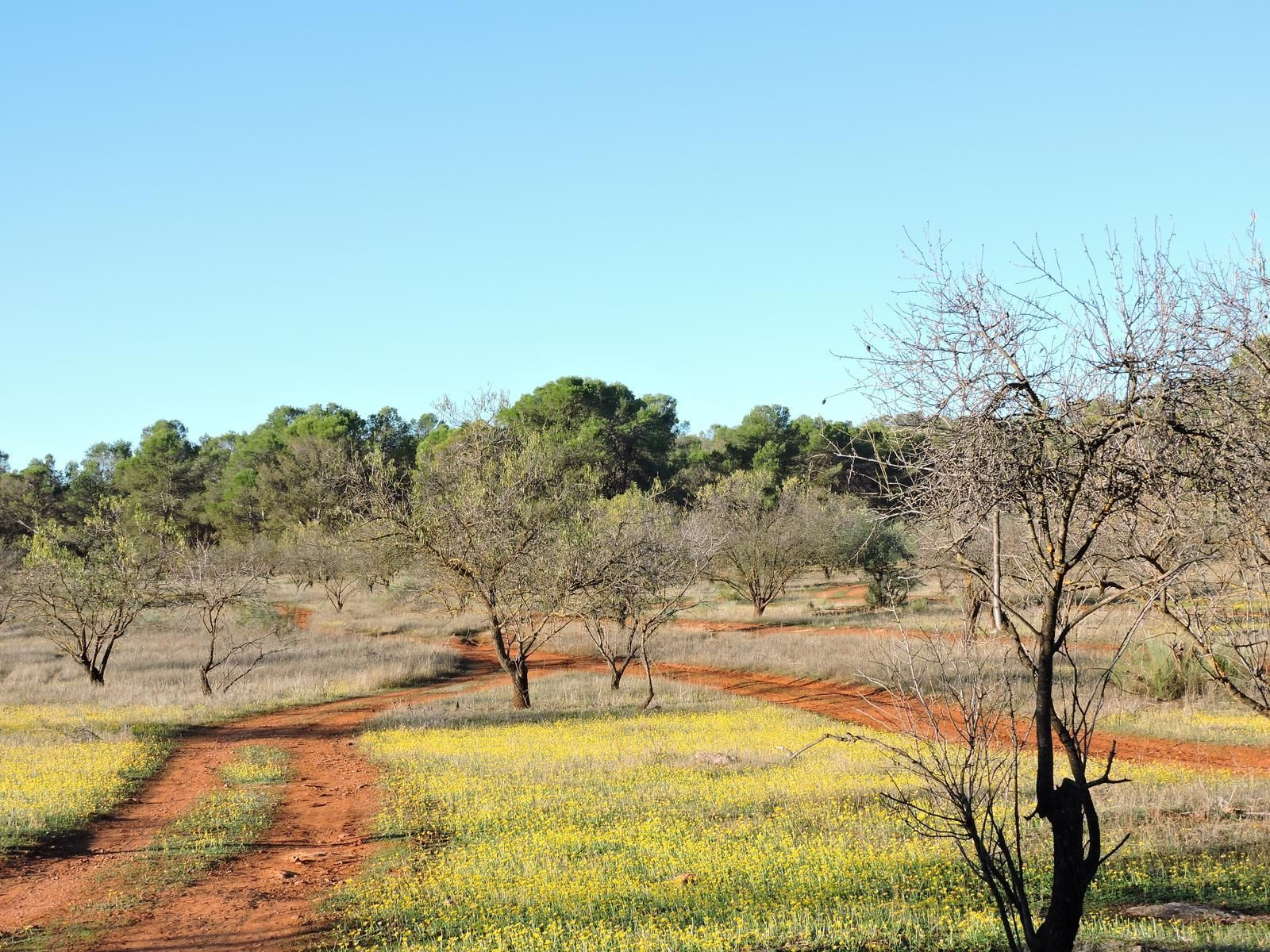 Uno de los tramos del sendero que une Alameda con Fuente de Piedra.
