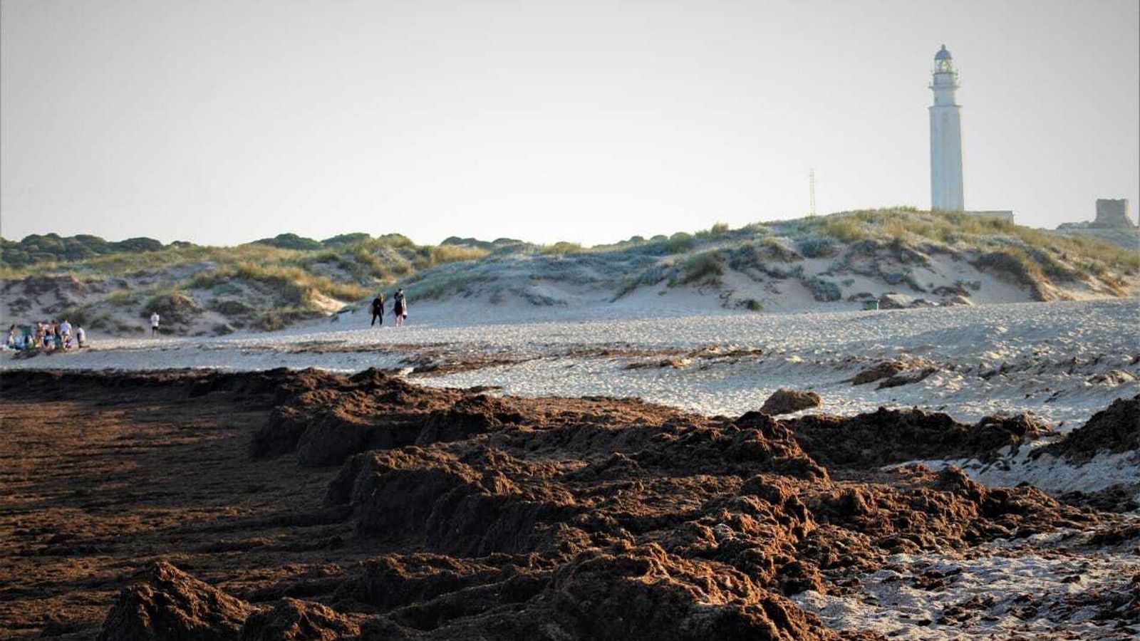 Una playa de Los Caños de Meca con el Faro de Trafalgar al fondo.