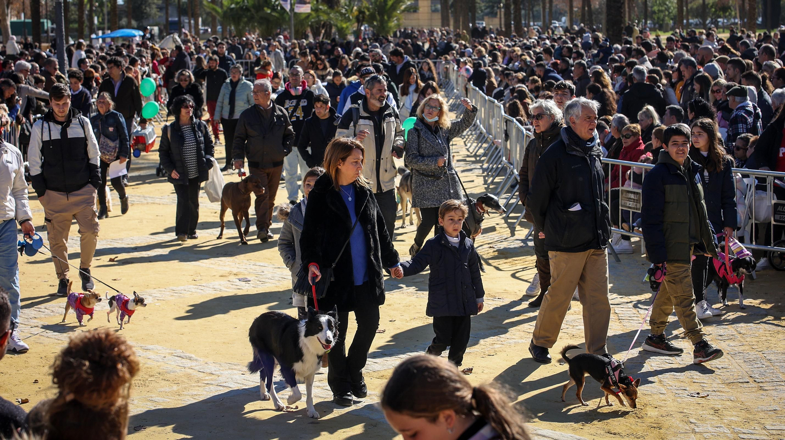 Búscate en San Antón de Jerez