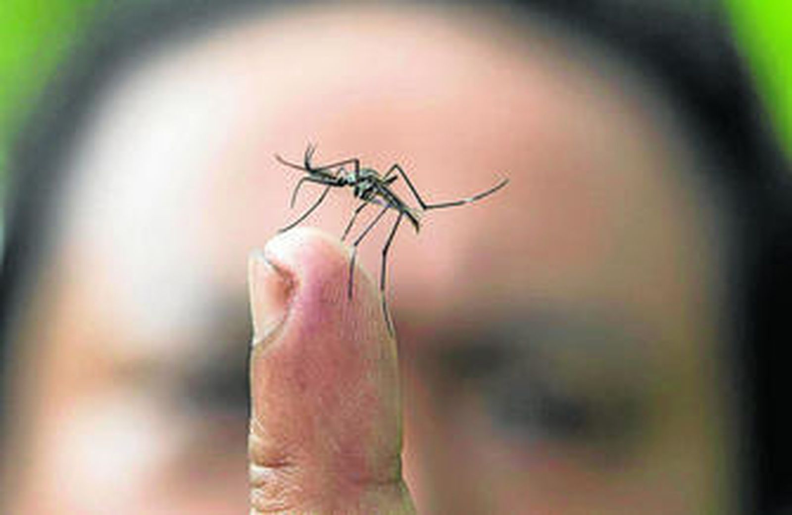 Las aplicaciones emiten ultrasonidos para espantar al mosquito.