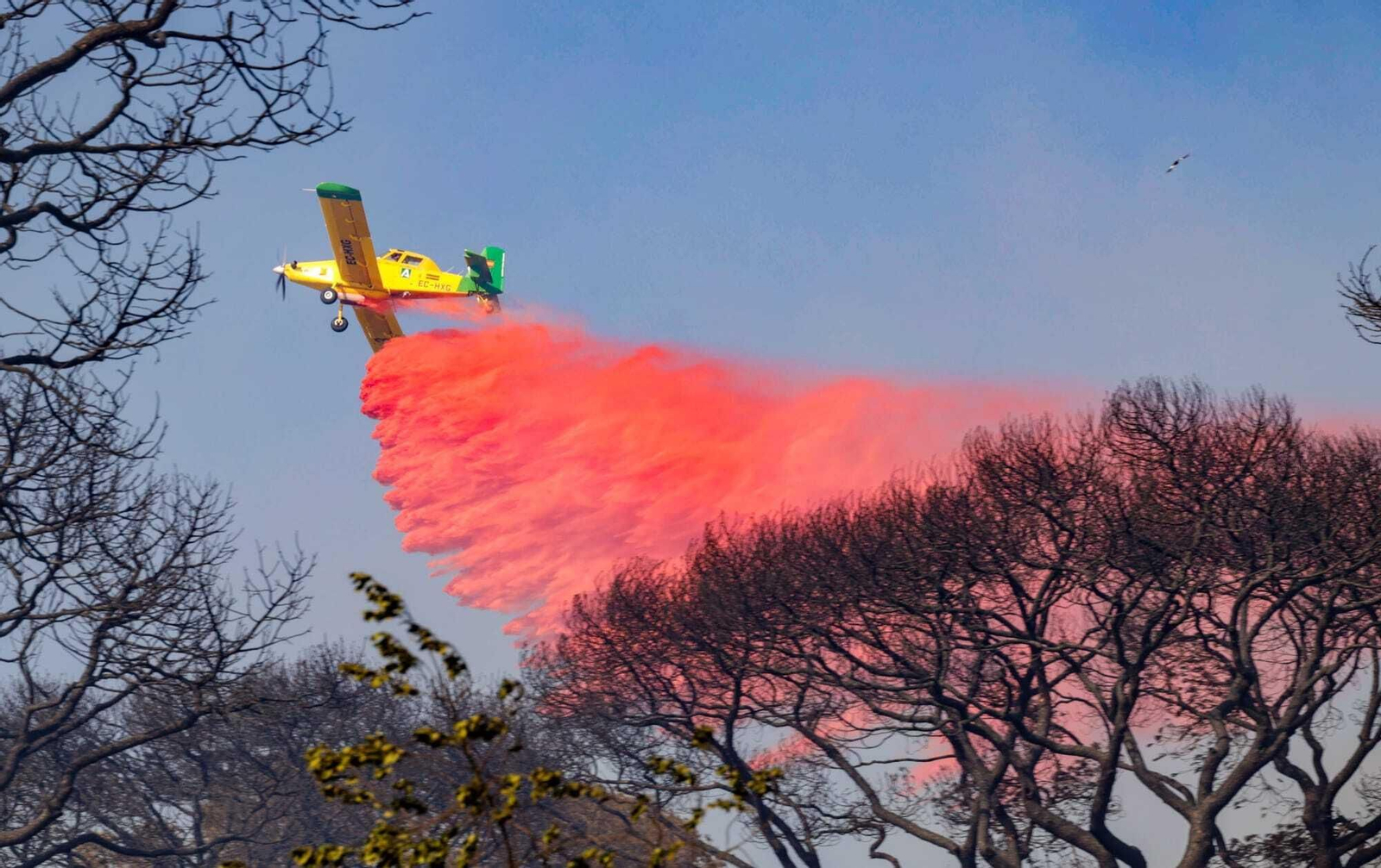 El fuego arrasa Las Canteras en Puerto Real