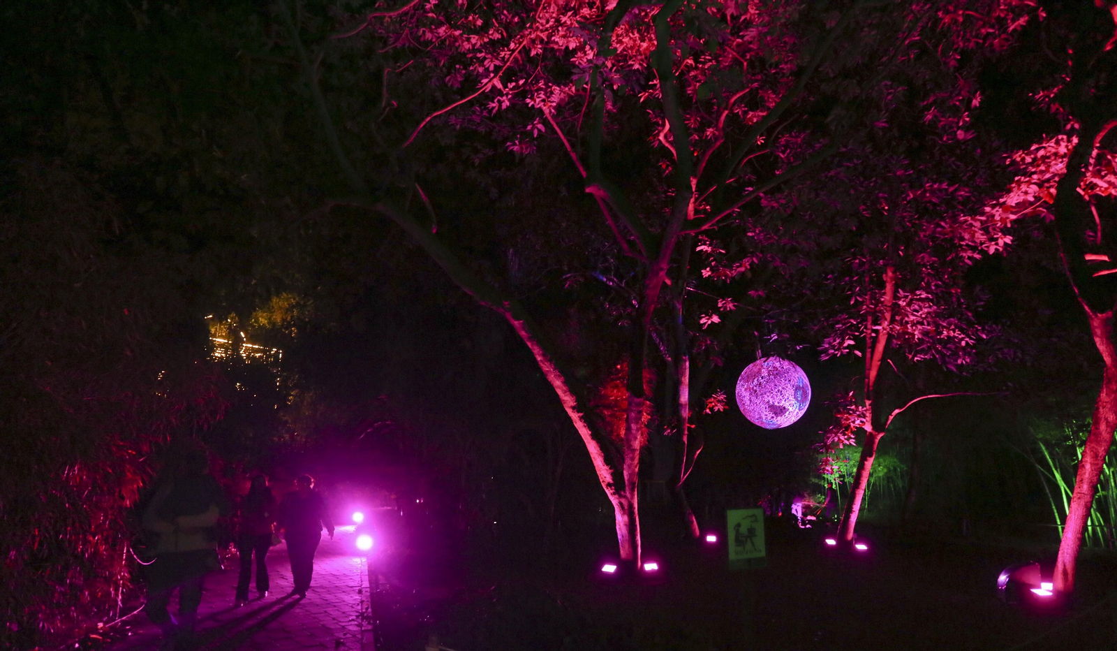 Las luces del Jardín Botánico de Málaga esta Navidad, en fotos