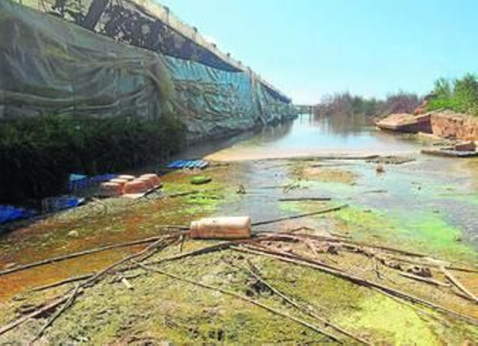 Uno de los múltiples invernaderos afectados por la crecida del agua.