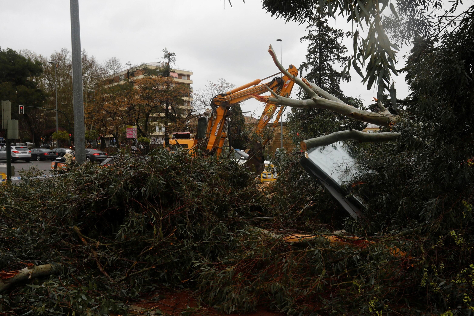 Los daños del último temporal que ha pasado por Córdoba, en imágenes