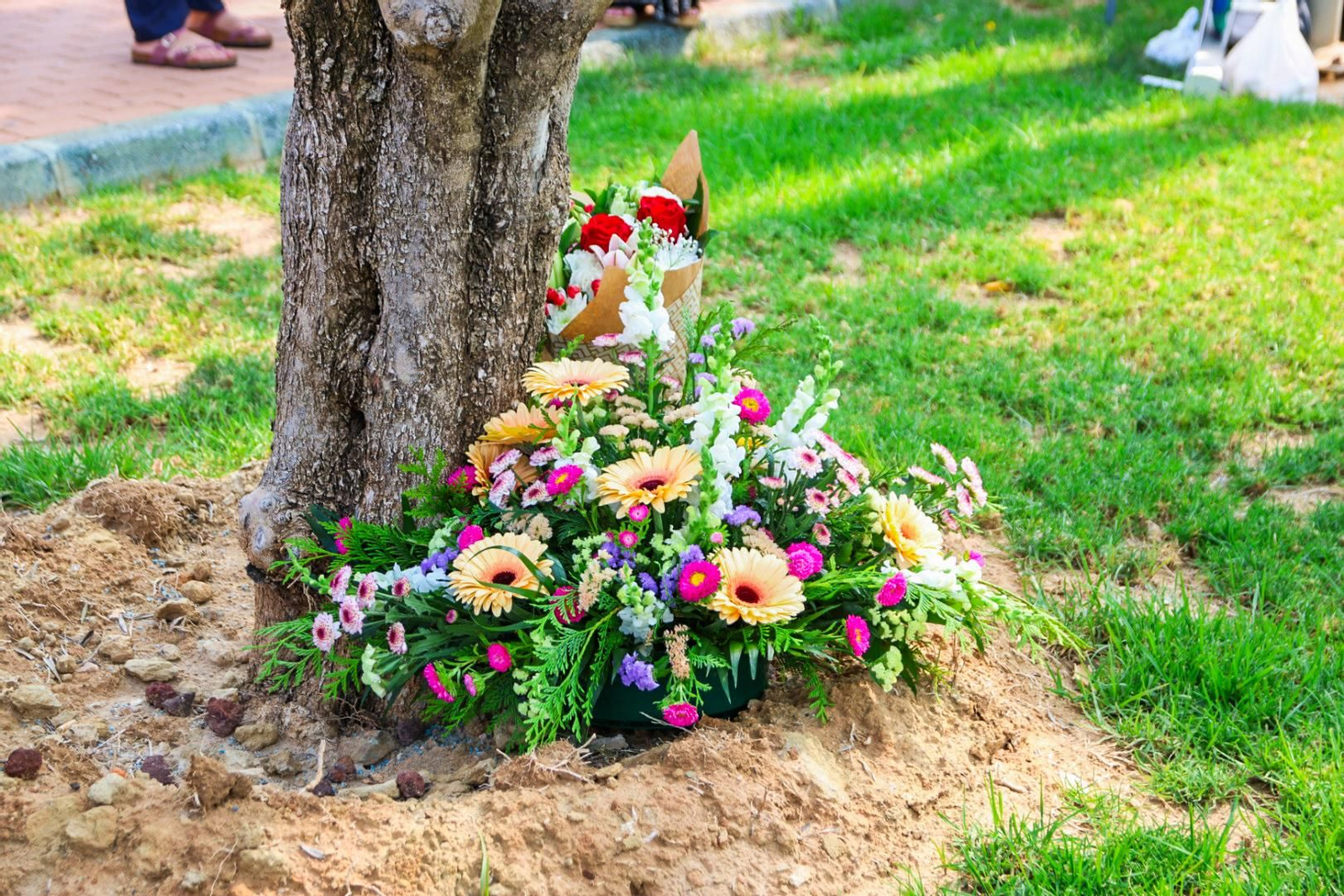 Imágenes del homenaje a los donantes de órganos y tejidos en el Hospital de Poniente