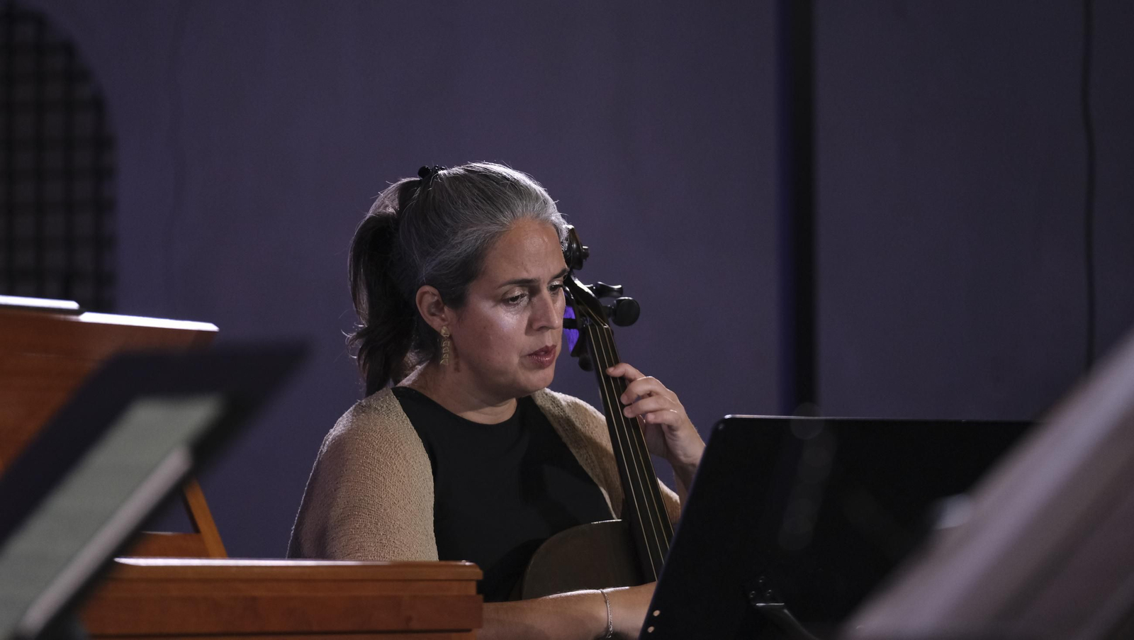 El concierto de Forma Antiqua, en imágenes