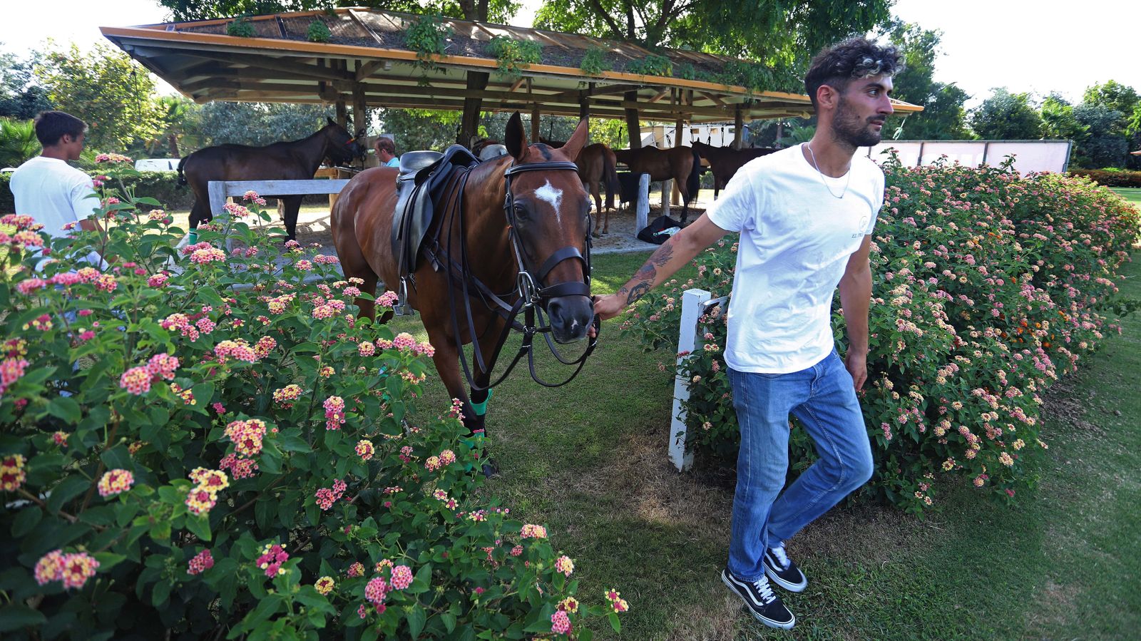 El polo desde dentro