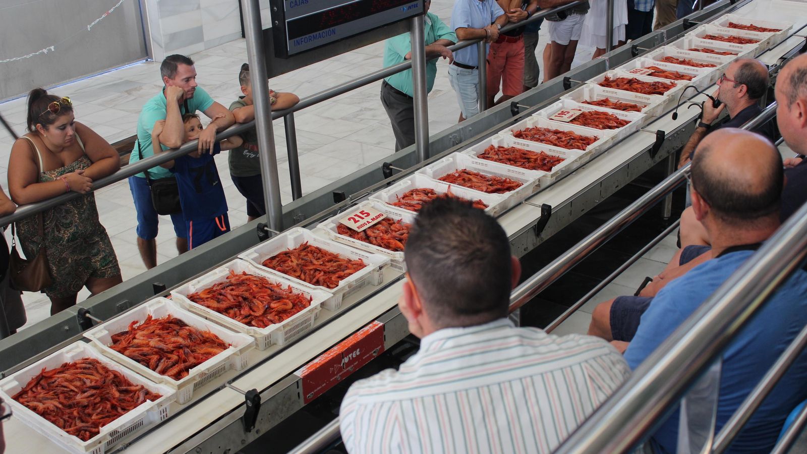Lonja de Garrucha con la gamba roja.