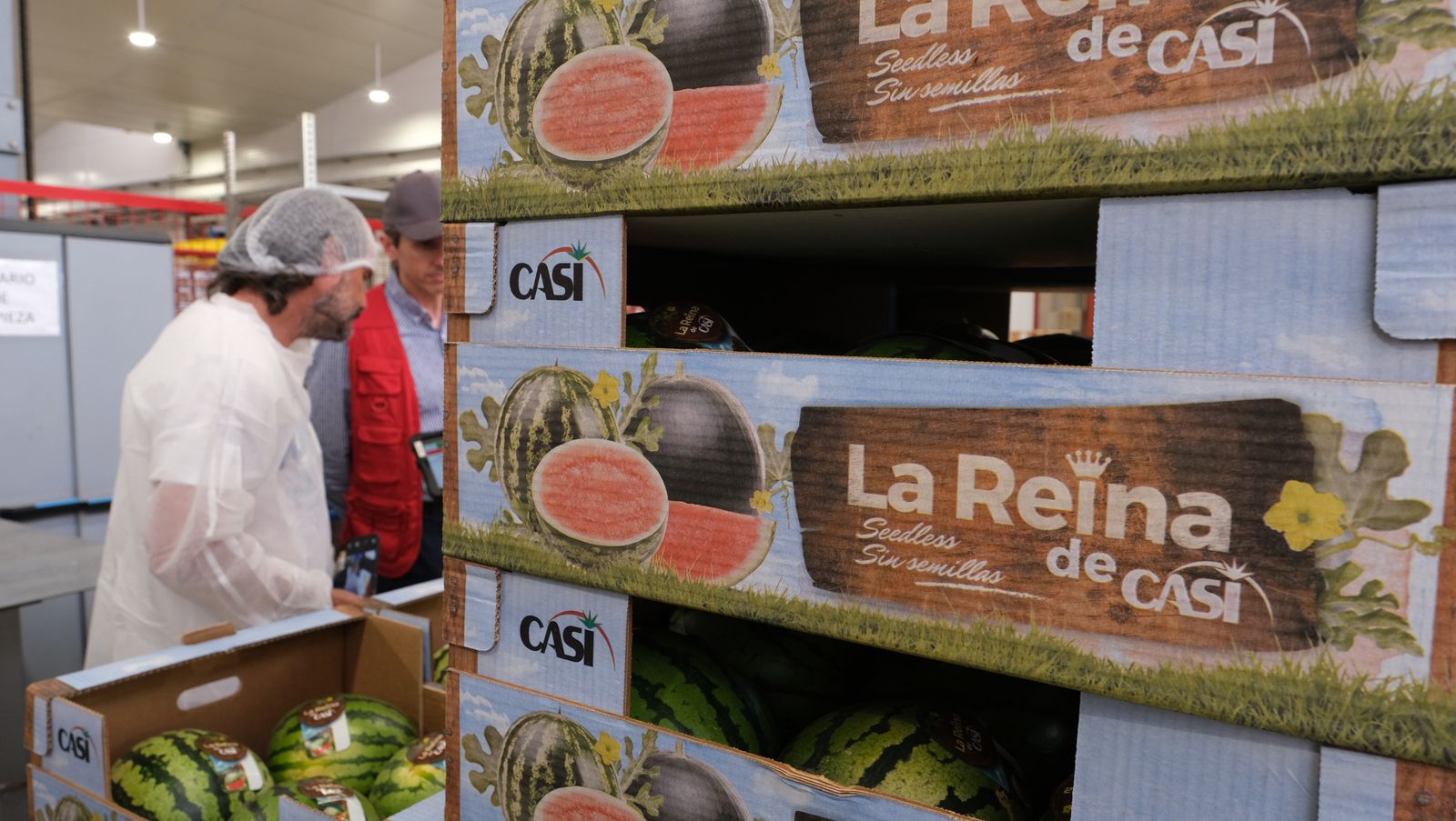 La IA llega a CASI, en imágenes