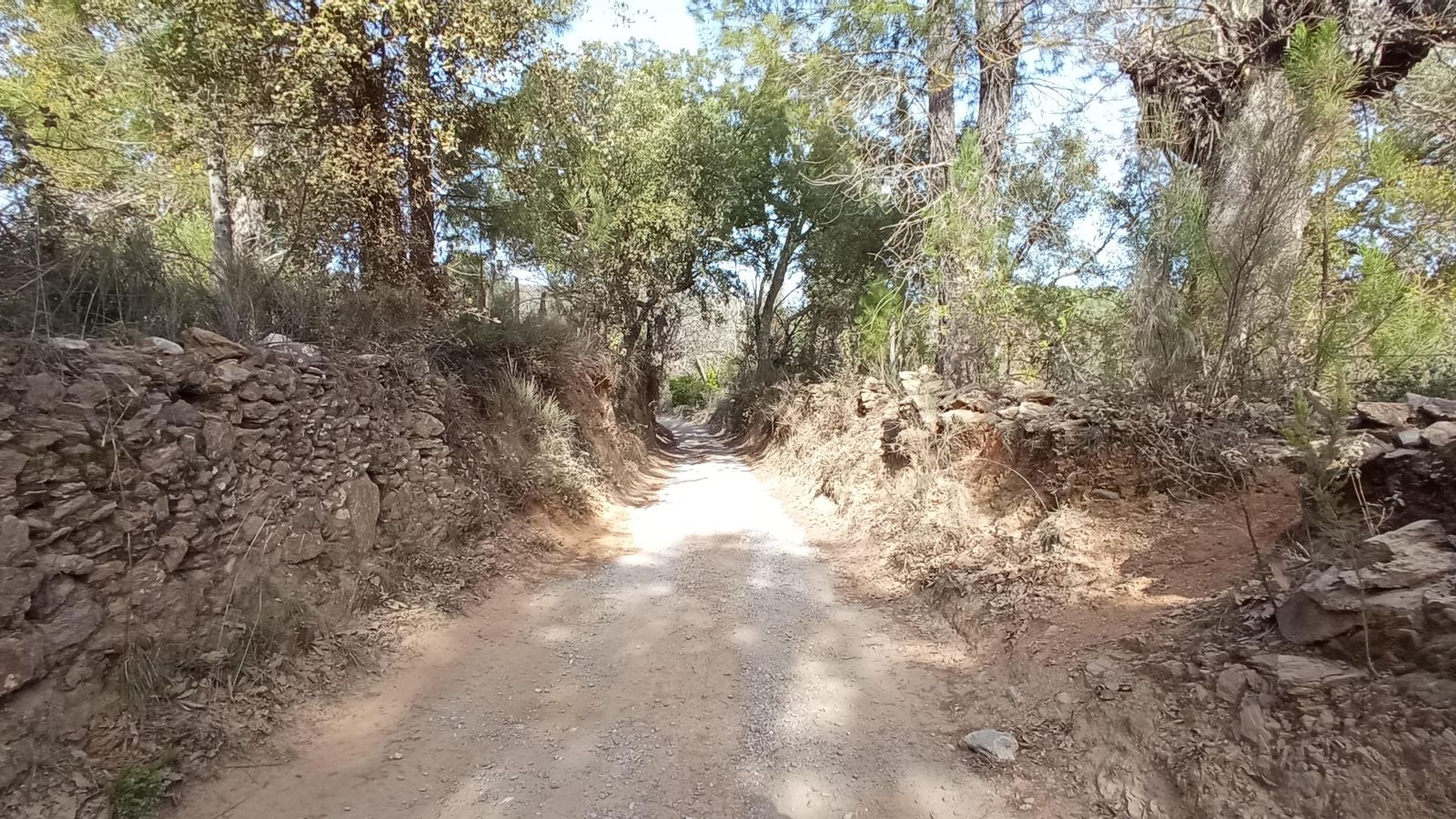 Camino tras cruzar la carretera N-433