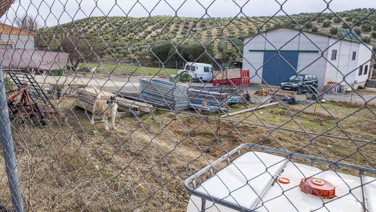 Finca en la que tuvieron lugar los hechos