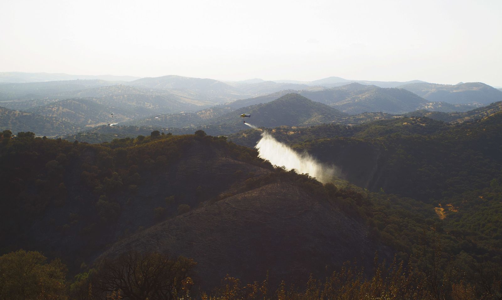 El incendio forestal de El Ronquillo, en imágenes