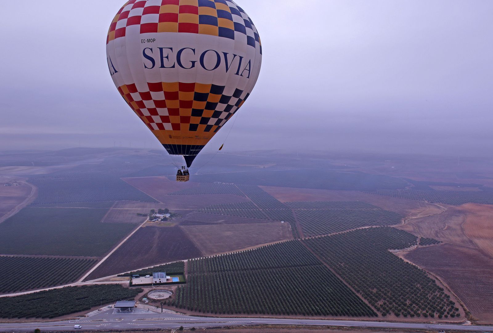 Reportaje sobre el aceite de oliva