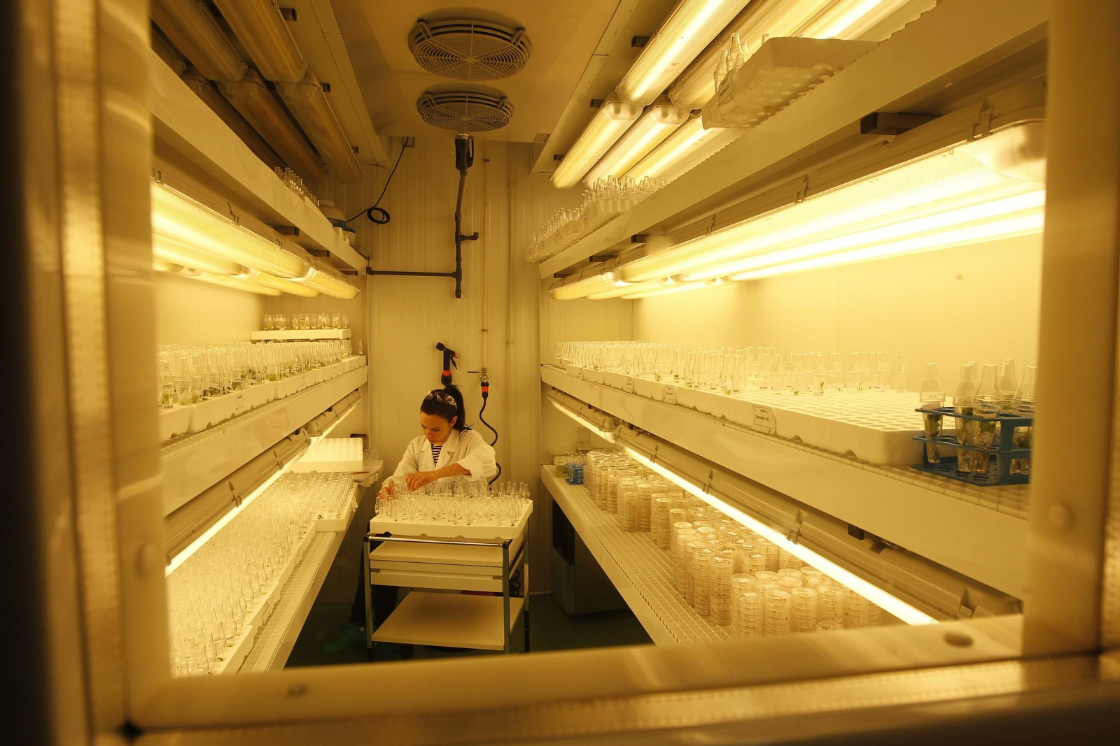 Fotogalería presentación resultados Bayer