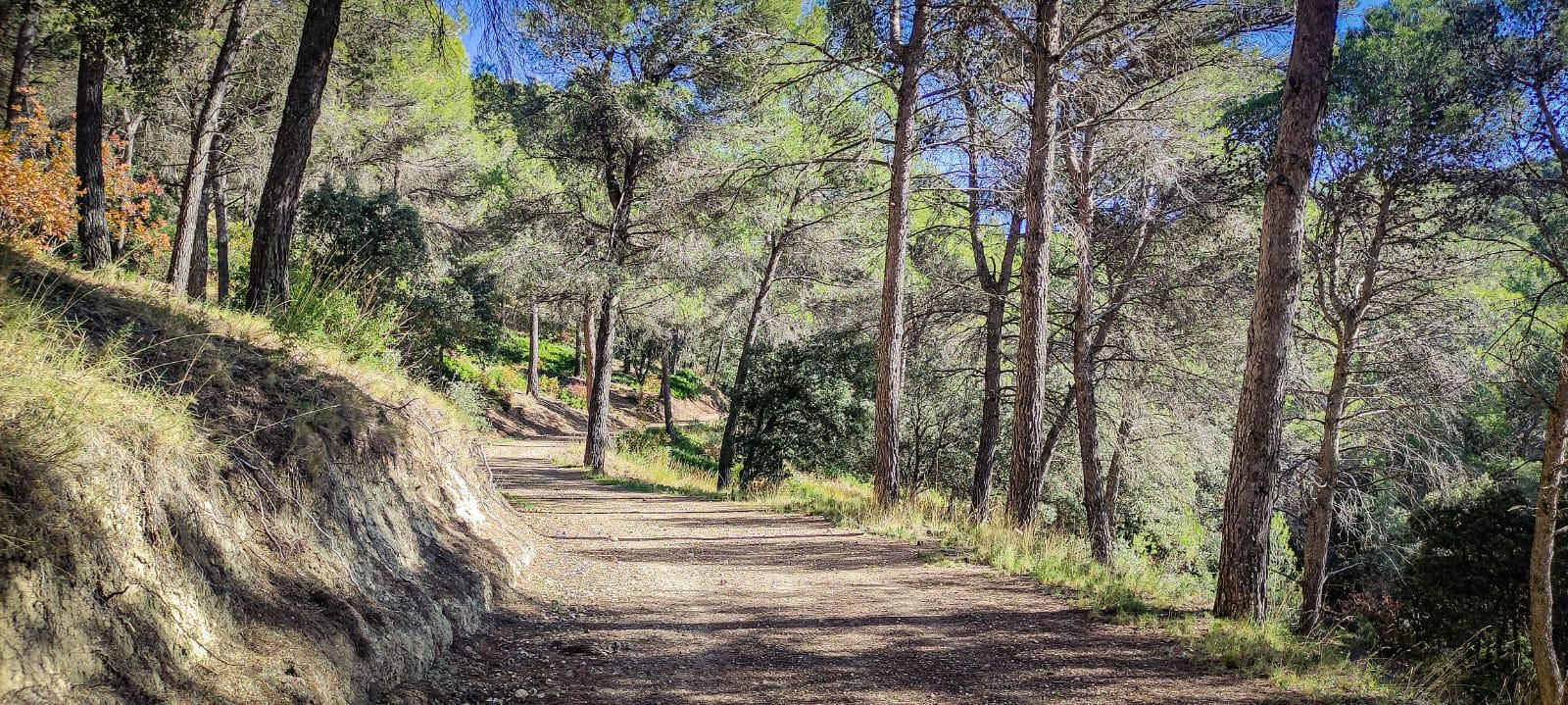 Ruta de senderismo con vistas a Sierra Nevada y la Sierra Sur: subida a la cumbre de Puerto Alto desde la Cañada de las Hazadillas