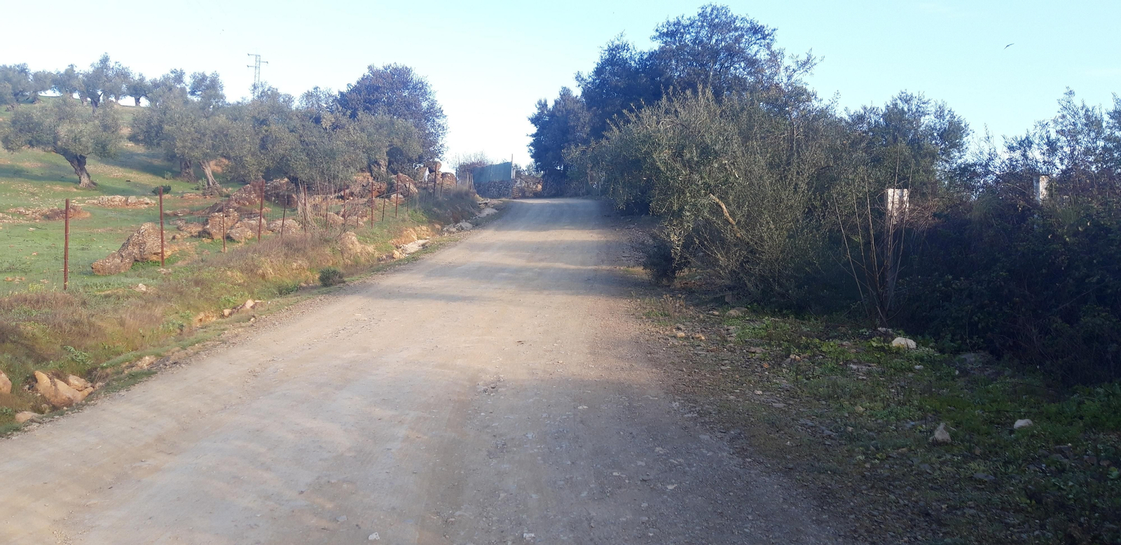 Circular de Las Palomas en La Puebla de los Infantes