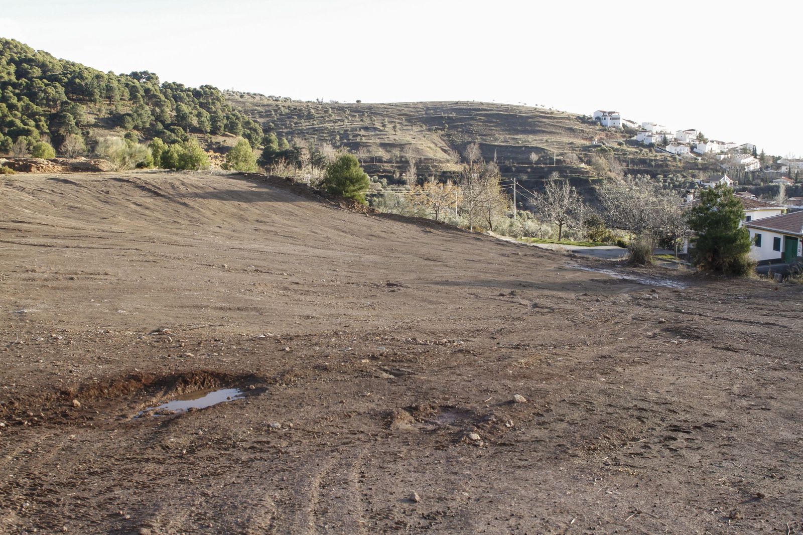 Terrenos de Alfacar donde se buscó a Lorca.