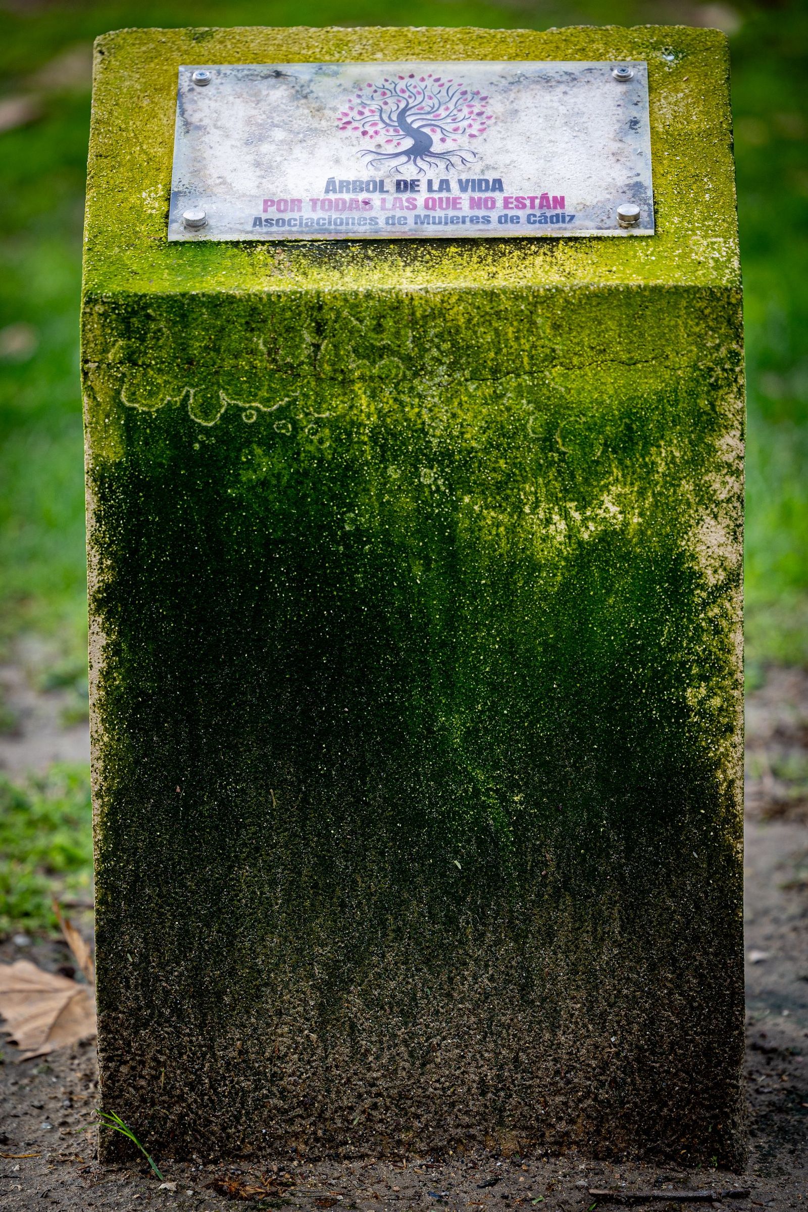 Las imágenes del mal estado de la Plaza de España en Cádiz