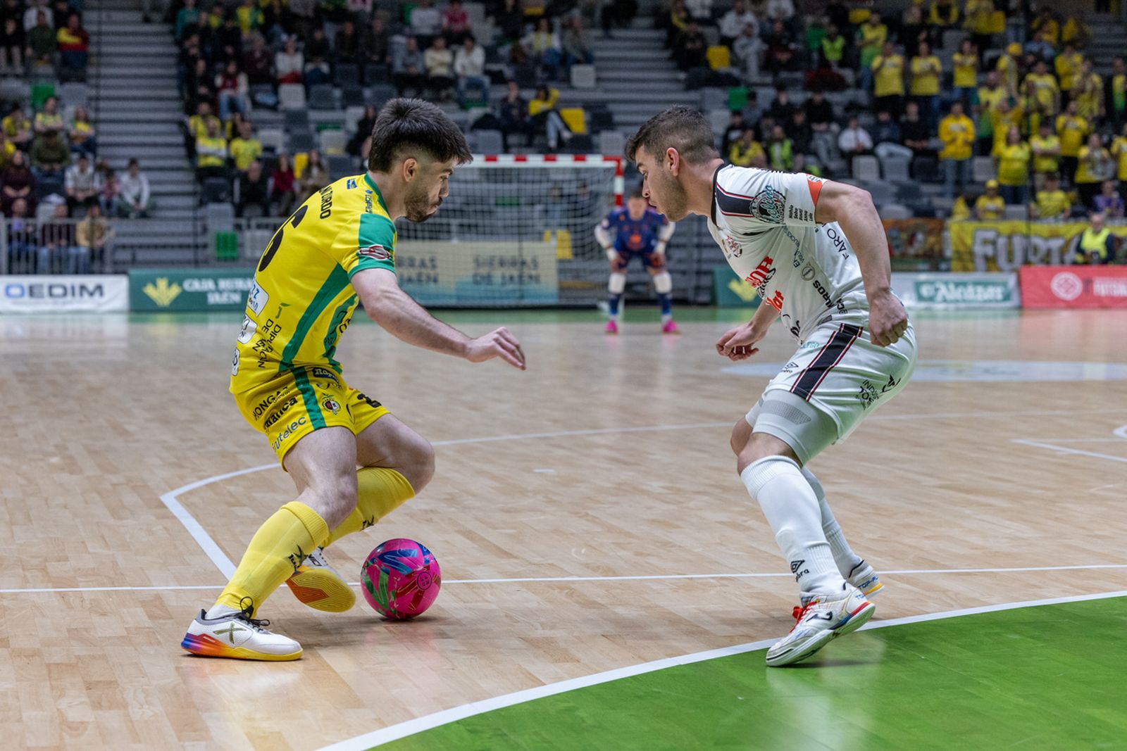 Las mejores imágenes de las tablas entre Jaén Paraíso Interior FS y Noia Portus Apostoli