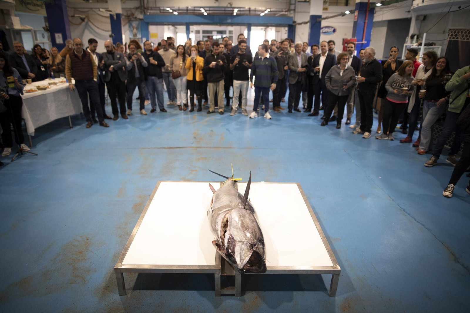Venir, ver y comprar: las imágenes del ronqueo del atún en Granada