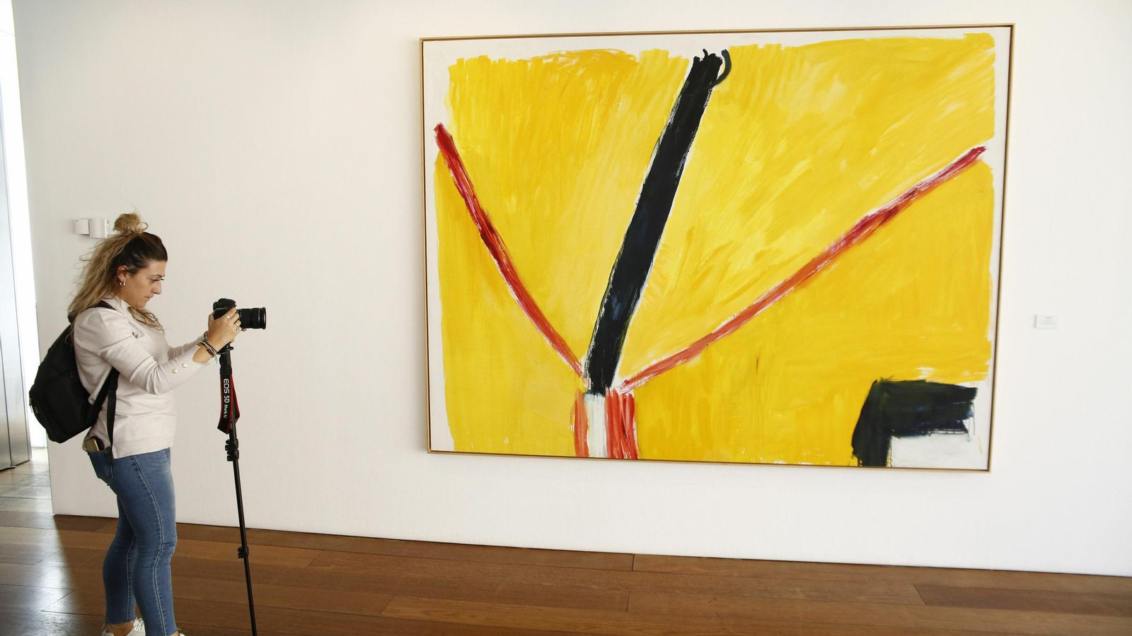 Uno de los cuadros del granadino expuestos en 'Guerrero / Vicente'.