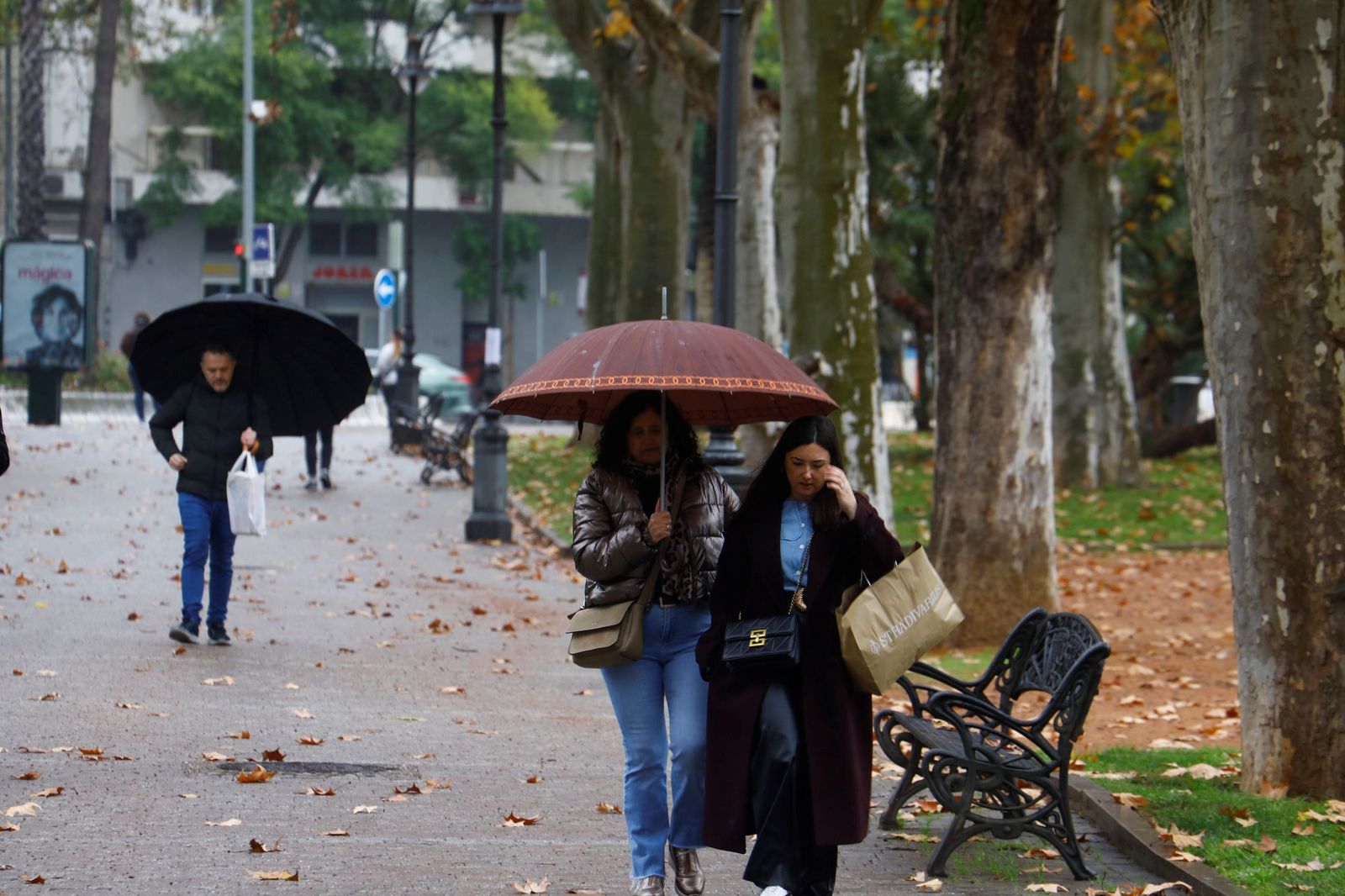 El paso de la borrasca Goretti por Córdoba