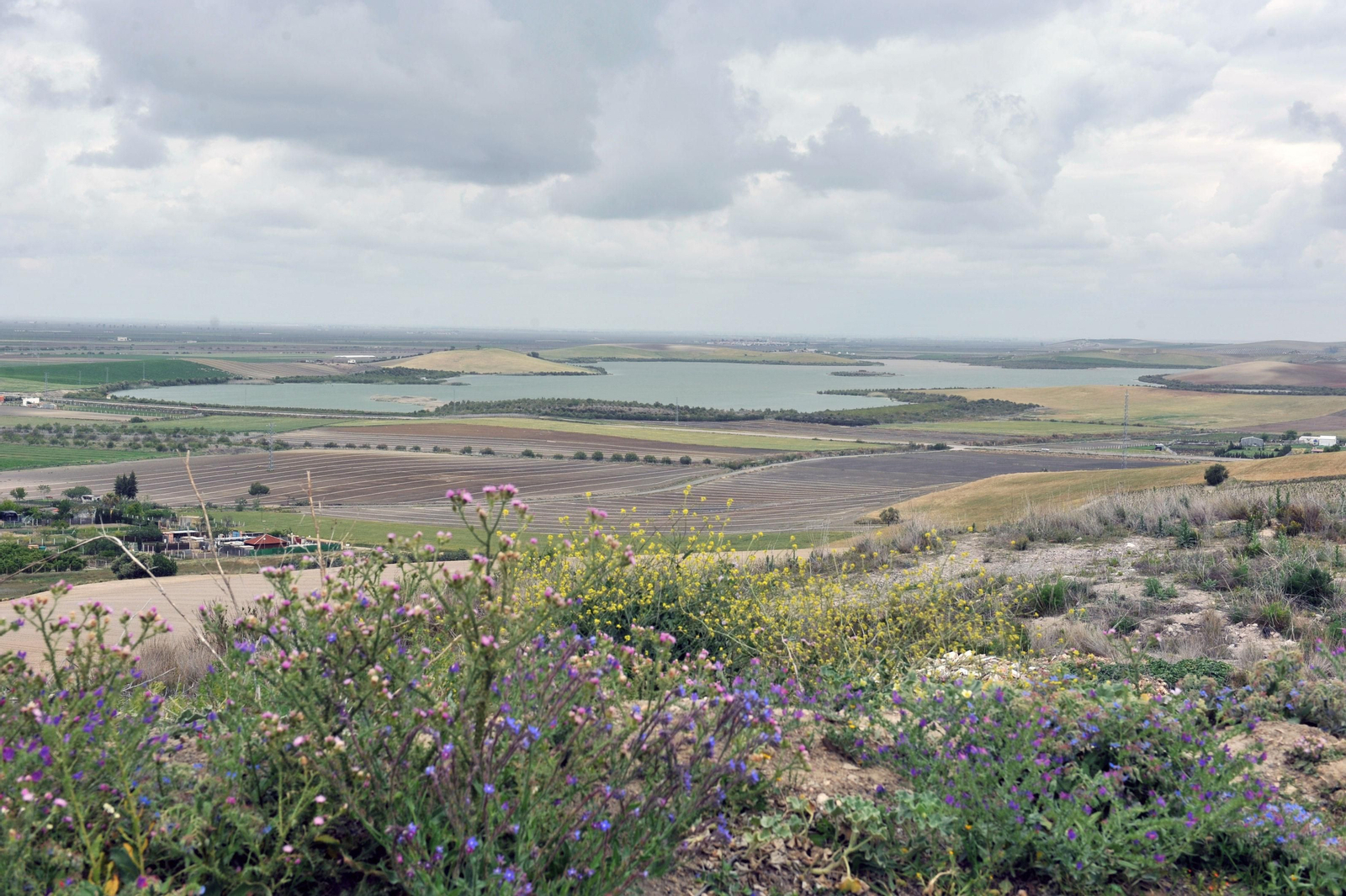 Una vista de la balsa de Melendo de Lebrija, en cuyo entorno se suelen realizar actividades recreativas.