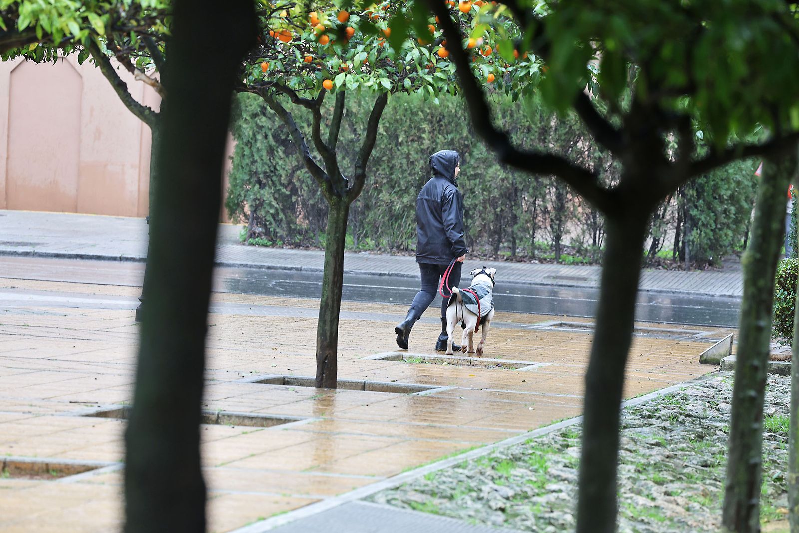 Las imágenes más destacadas del sábado 25 de enero en Huelva