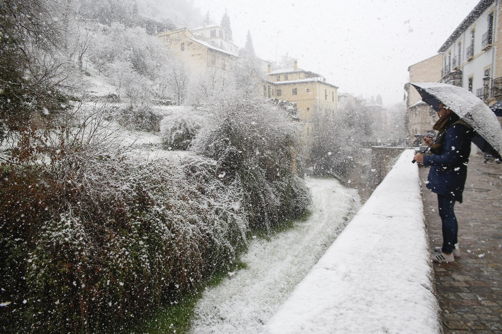 La nevada de Granada, en imágenes