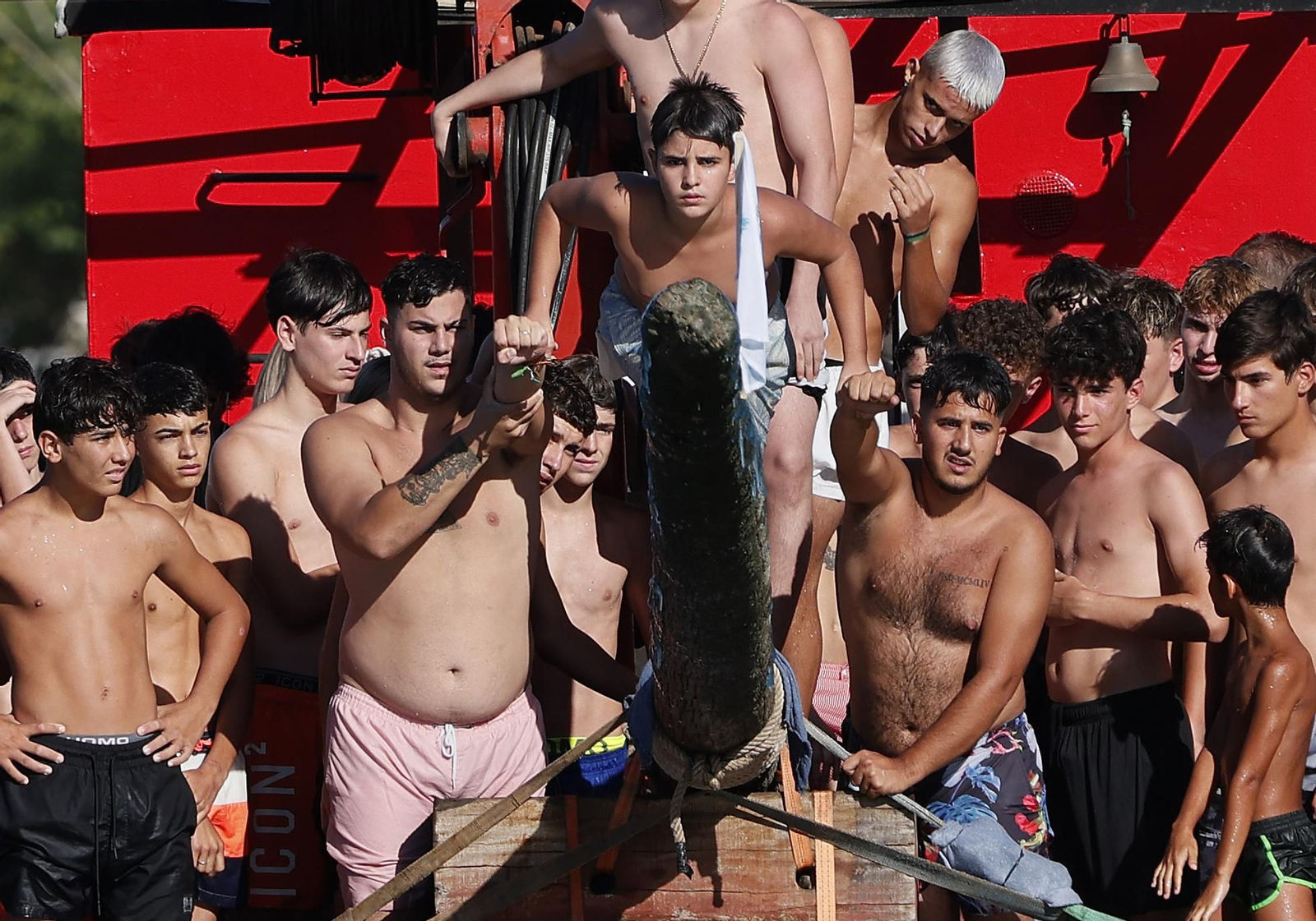 Las fotos de la cucaña