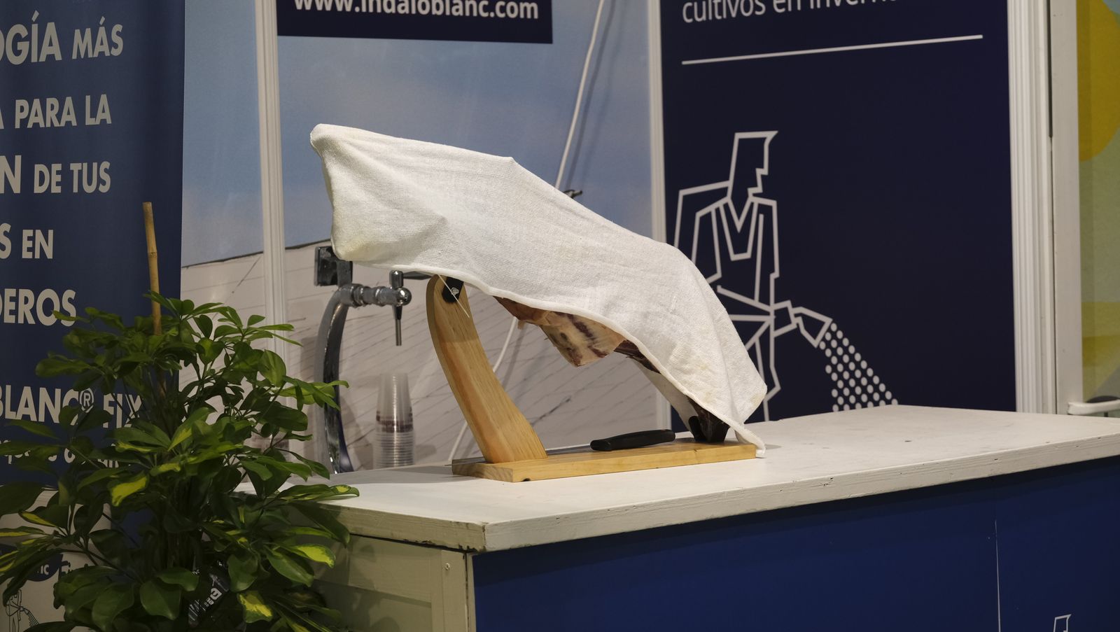 Imágenes de la Infoagro Almería 2023, en su segunda jornada