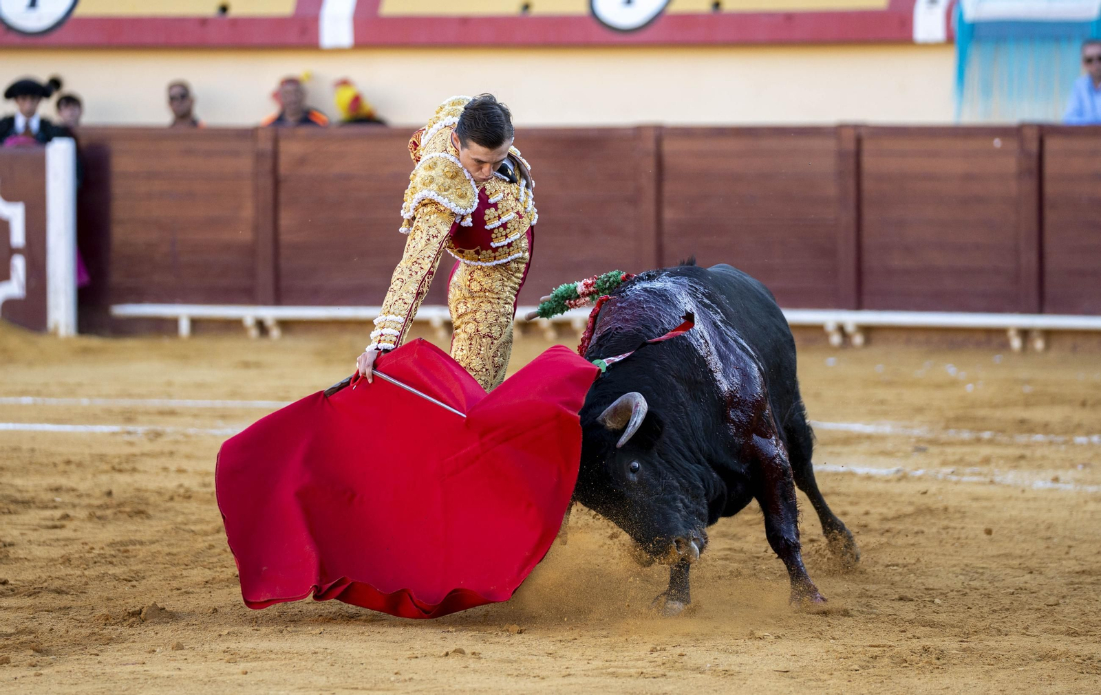 Las imágenes de los toros en Vera