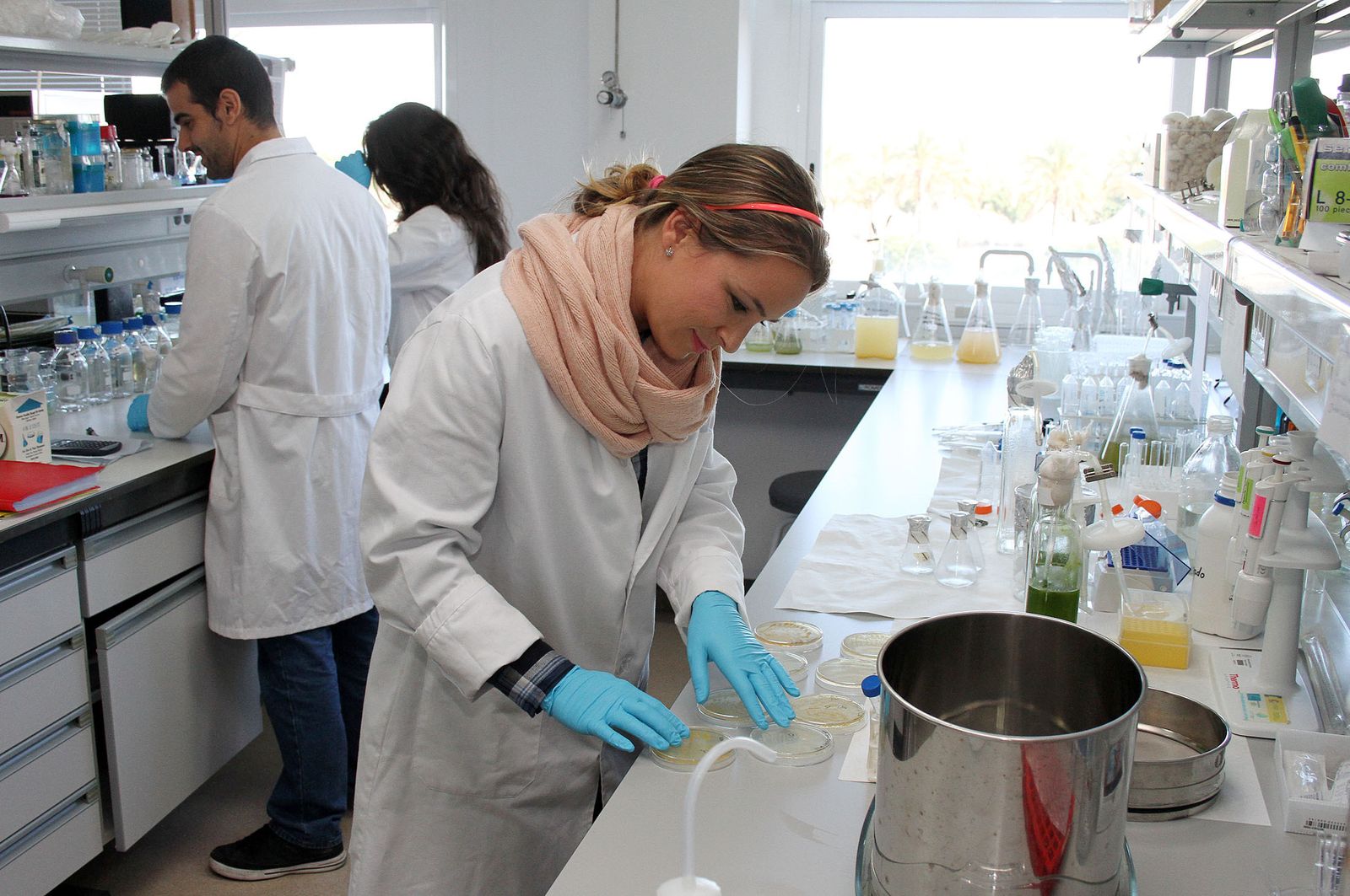 Investigadores del Ciderta, centro perteneciente a la Onubense.