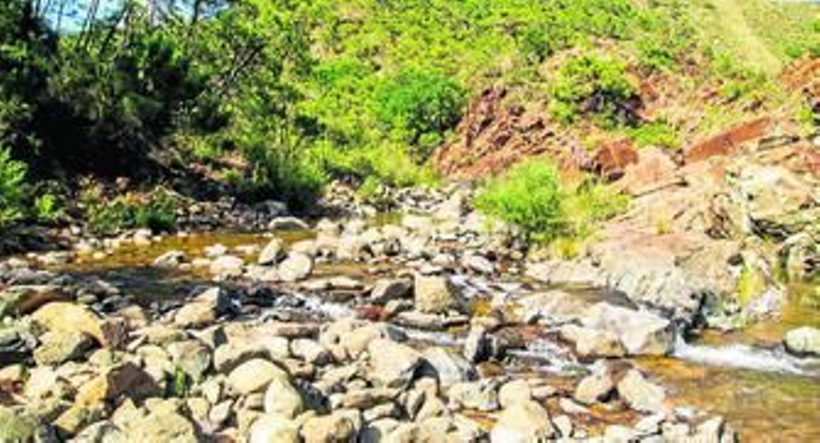 Río Guadalmansa dentro de la finca La Resinera donde ha sido localizado el pez fraile.