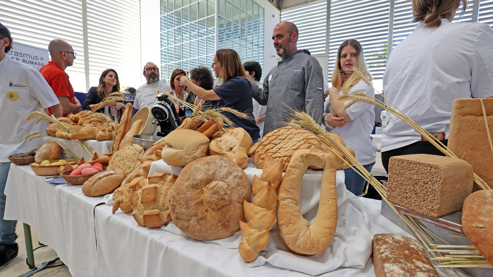 Feria de la Formación Profesional en la UCA