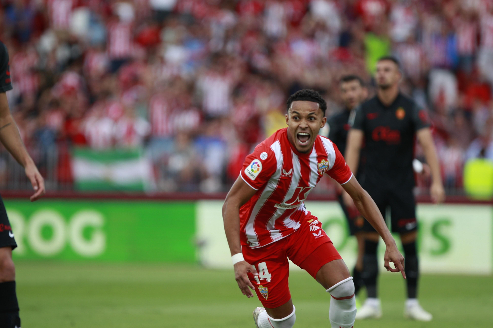 Imágenes del partido U.D. Almería-R.C.D. Mallorca