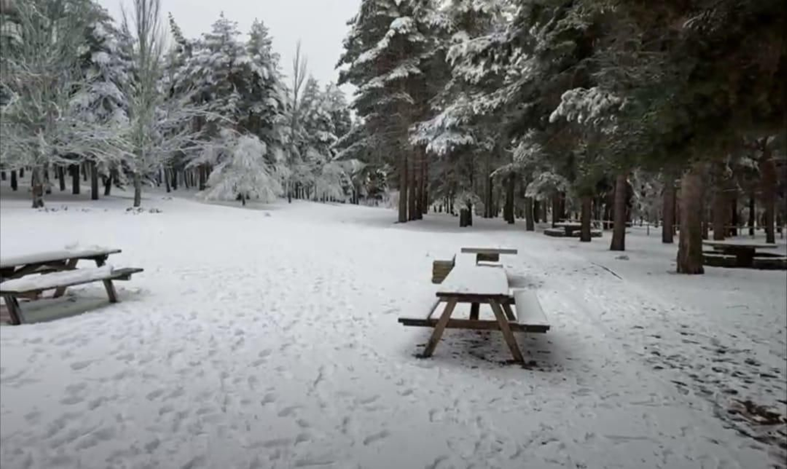 Nevada en el Puerto de la Ragua de Almería y Granada.