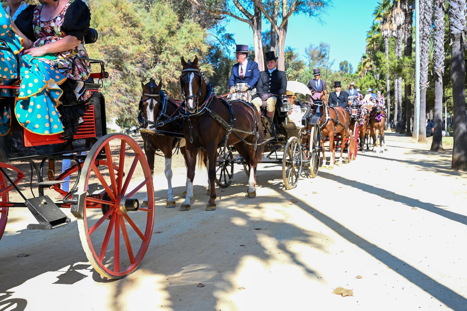 Imágenes del ambiente nocturno del 11 de octubre en la Feria del Caballo 2025