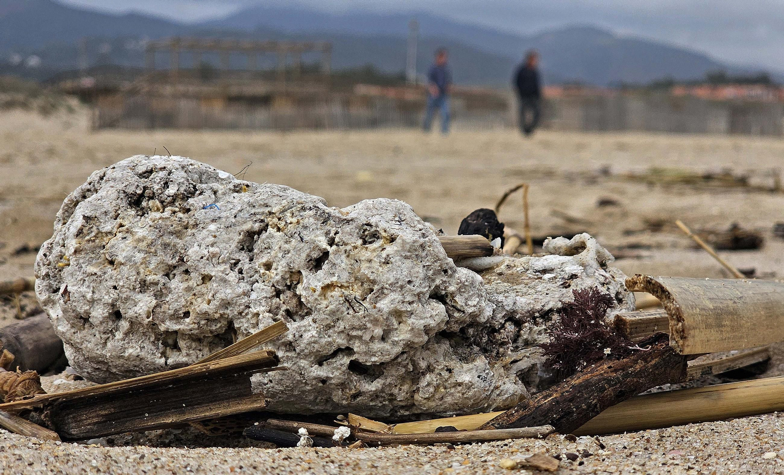 Fotos de la limpieza de las bolas blancas en la playa de Getares en Algeciras