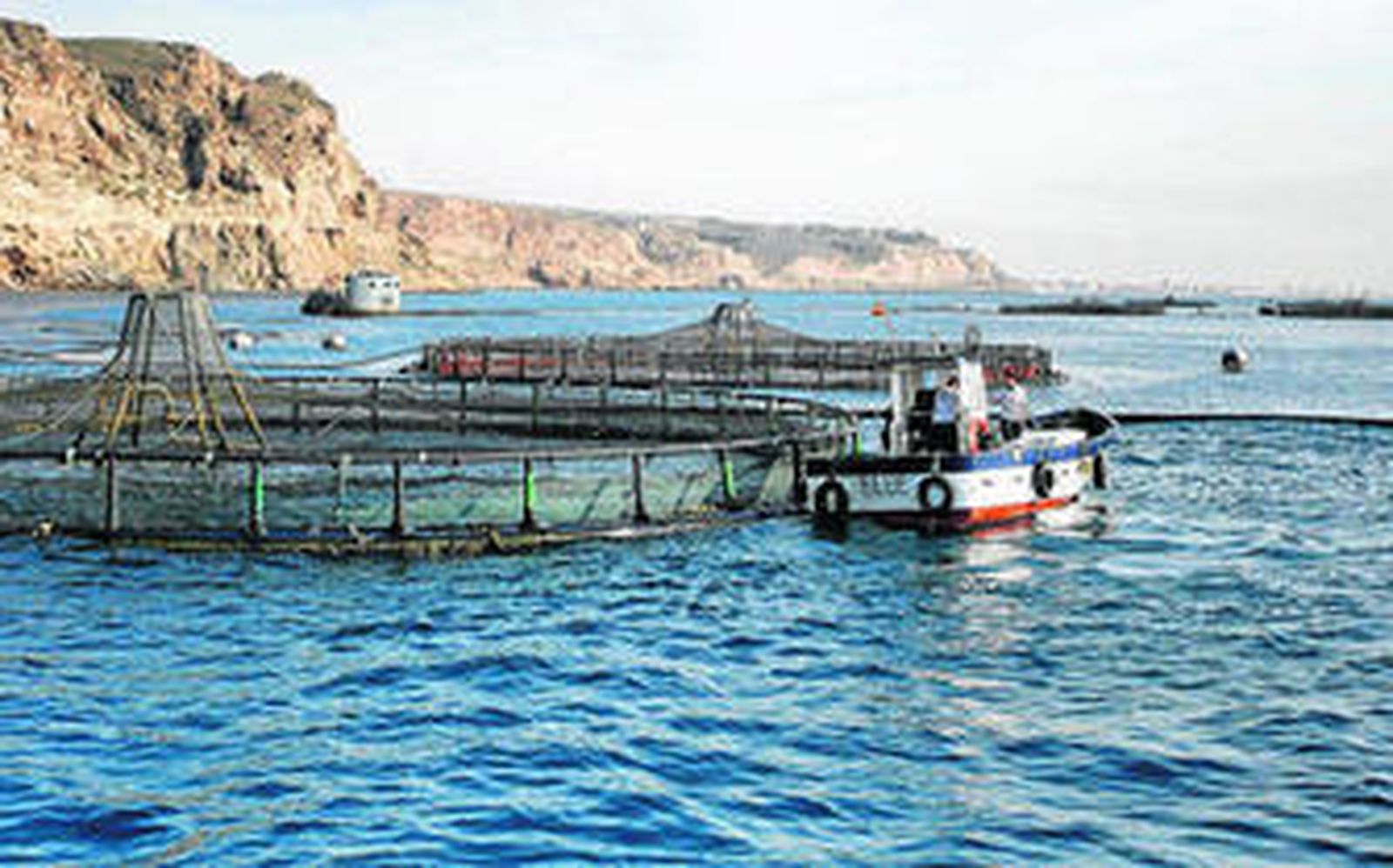 Piscifactoría Aguadulce (Piagua) del Grupo Culmárex.