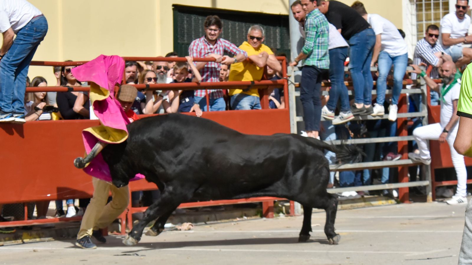 Fotos del encierro del sábado del Toro Embolao en Los Barrios