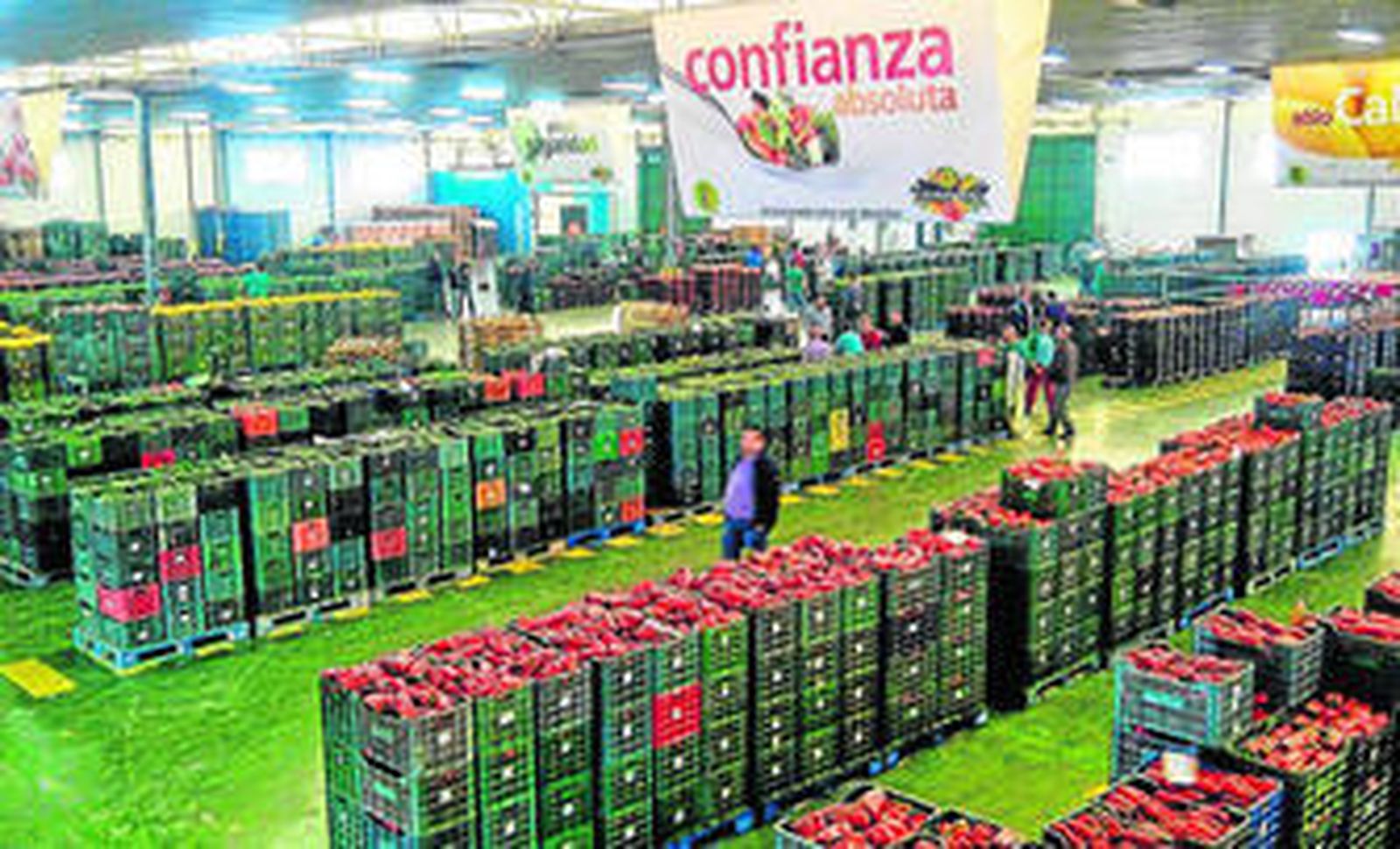 Agrupaejido afronta la nueva campaña con la apertura de sus centros de manipulado y comercialización.