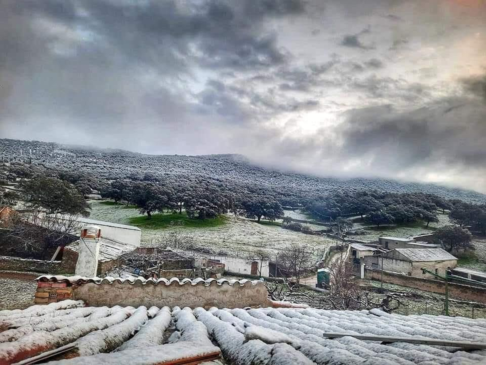 Arroyomolinos de León.