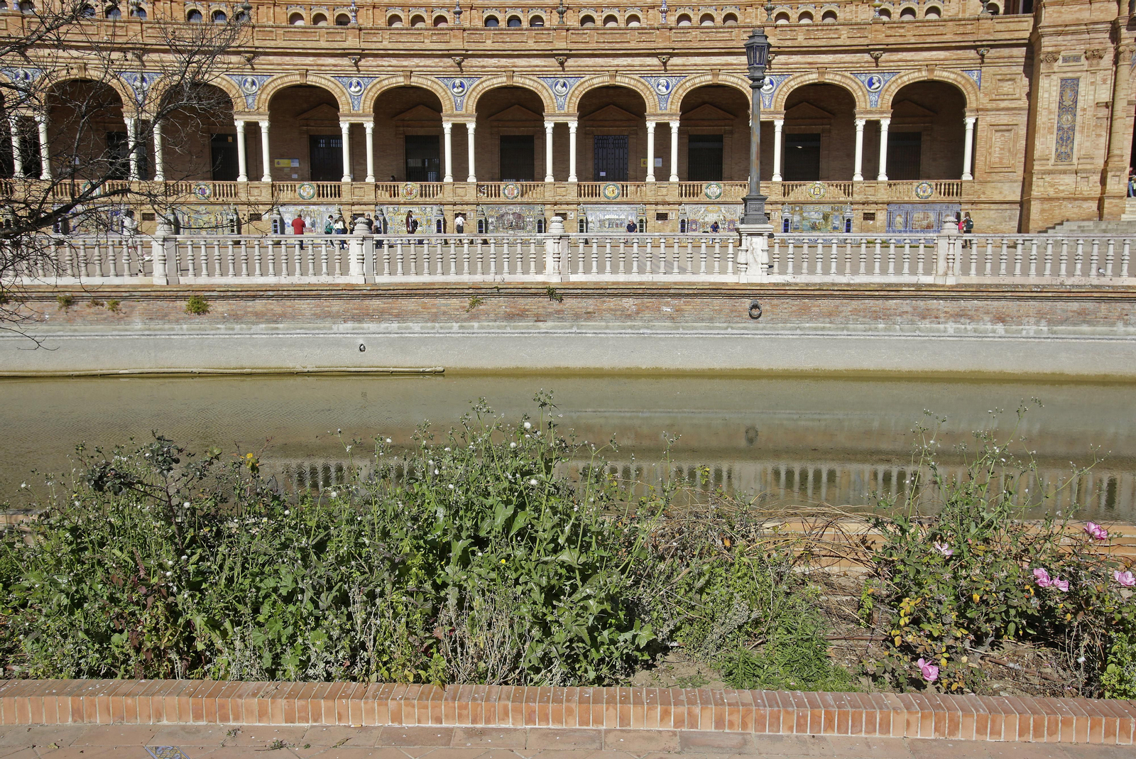 Mal estado de los arriates y plantas en la Plaza de España