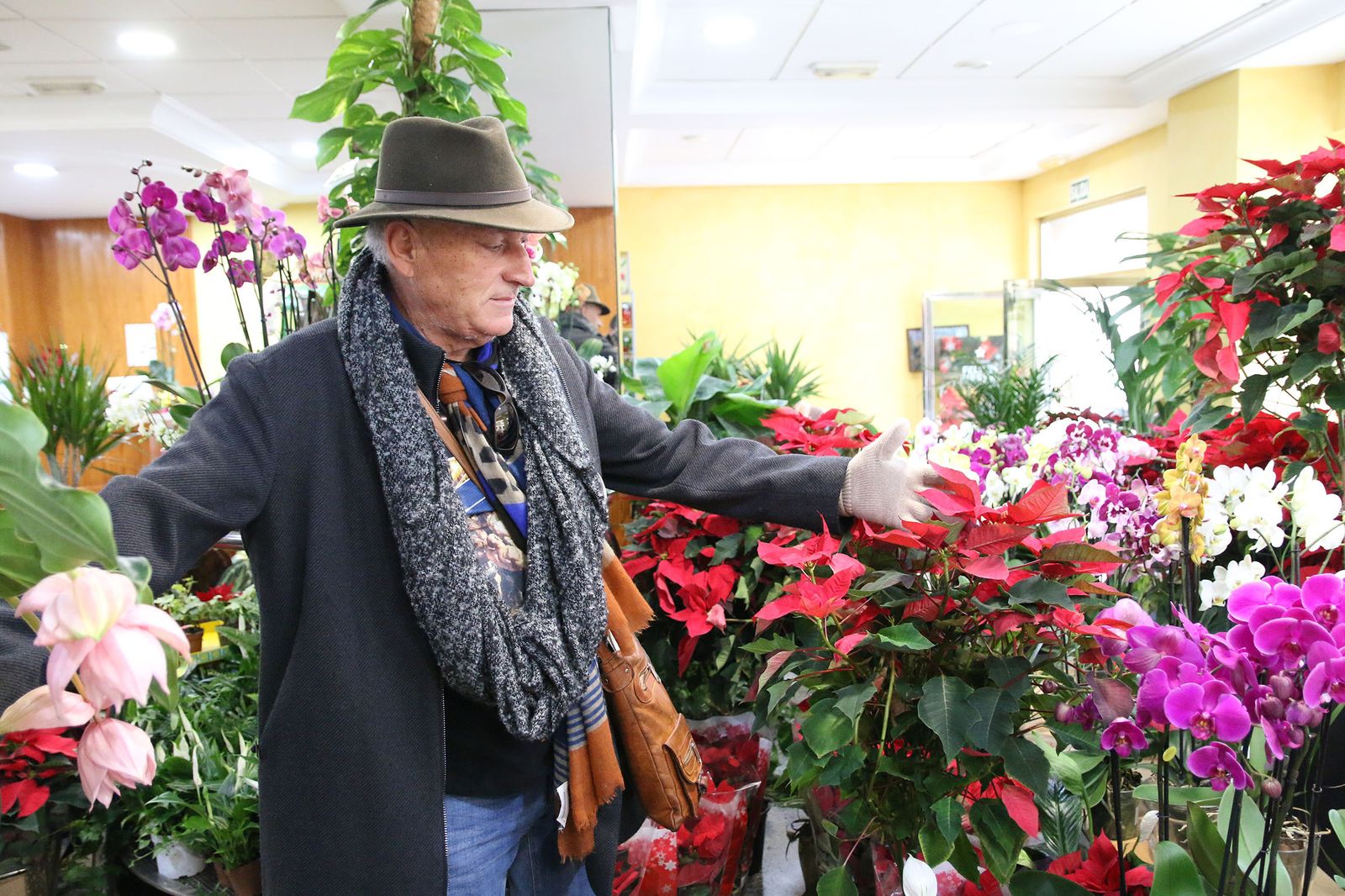 Fotogalería Floristería Suministros Tripiana